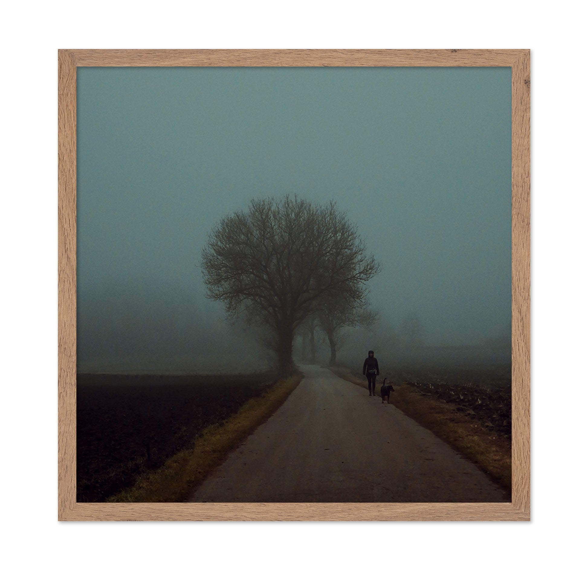 Foggy Morning Walk