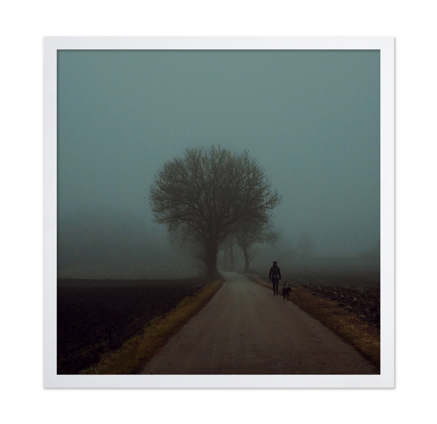 Foggy Morning Walk