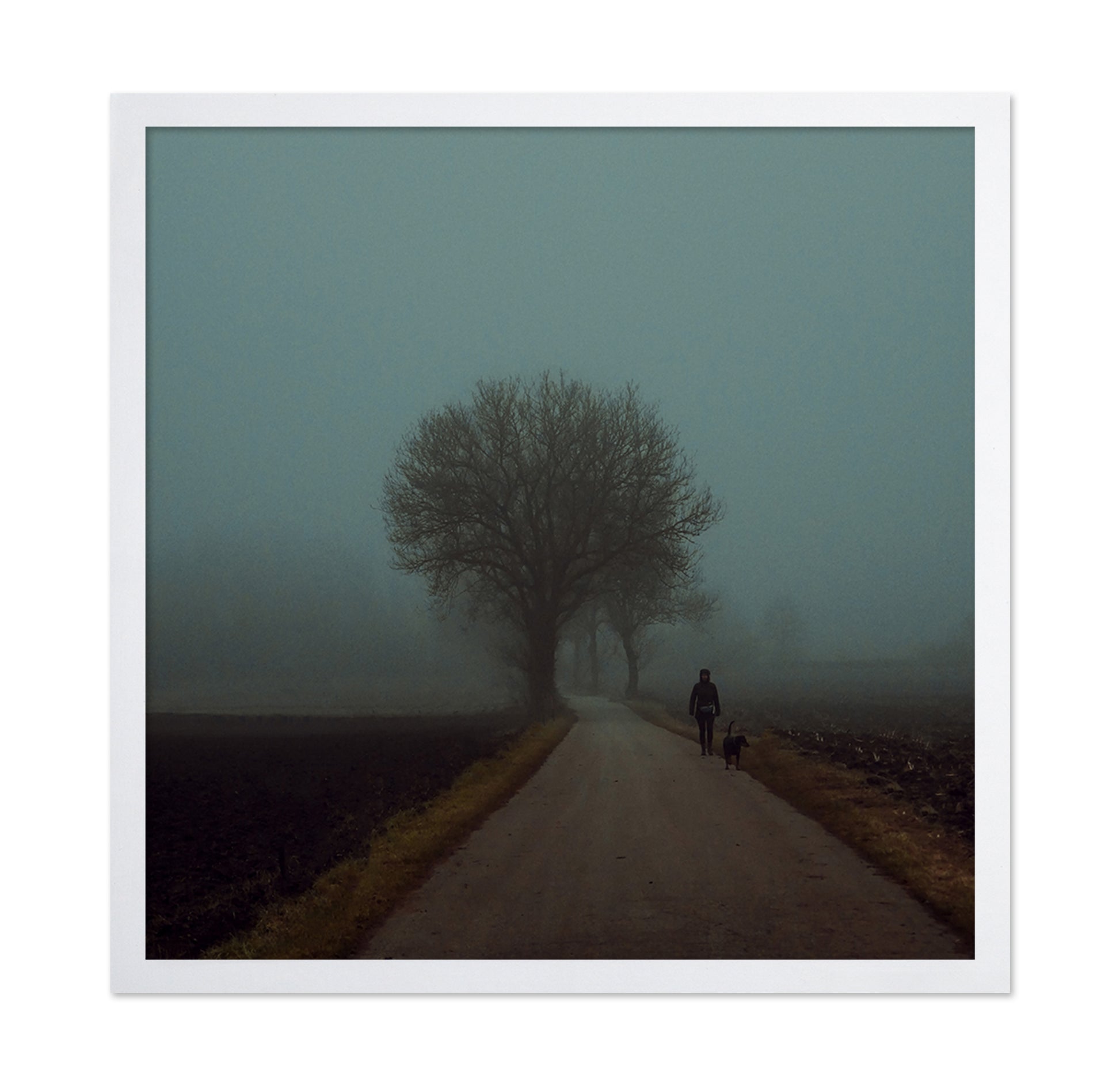 Foggy Morning Walk