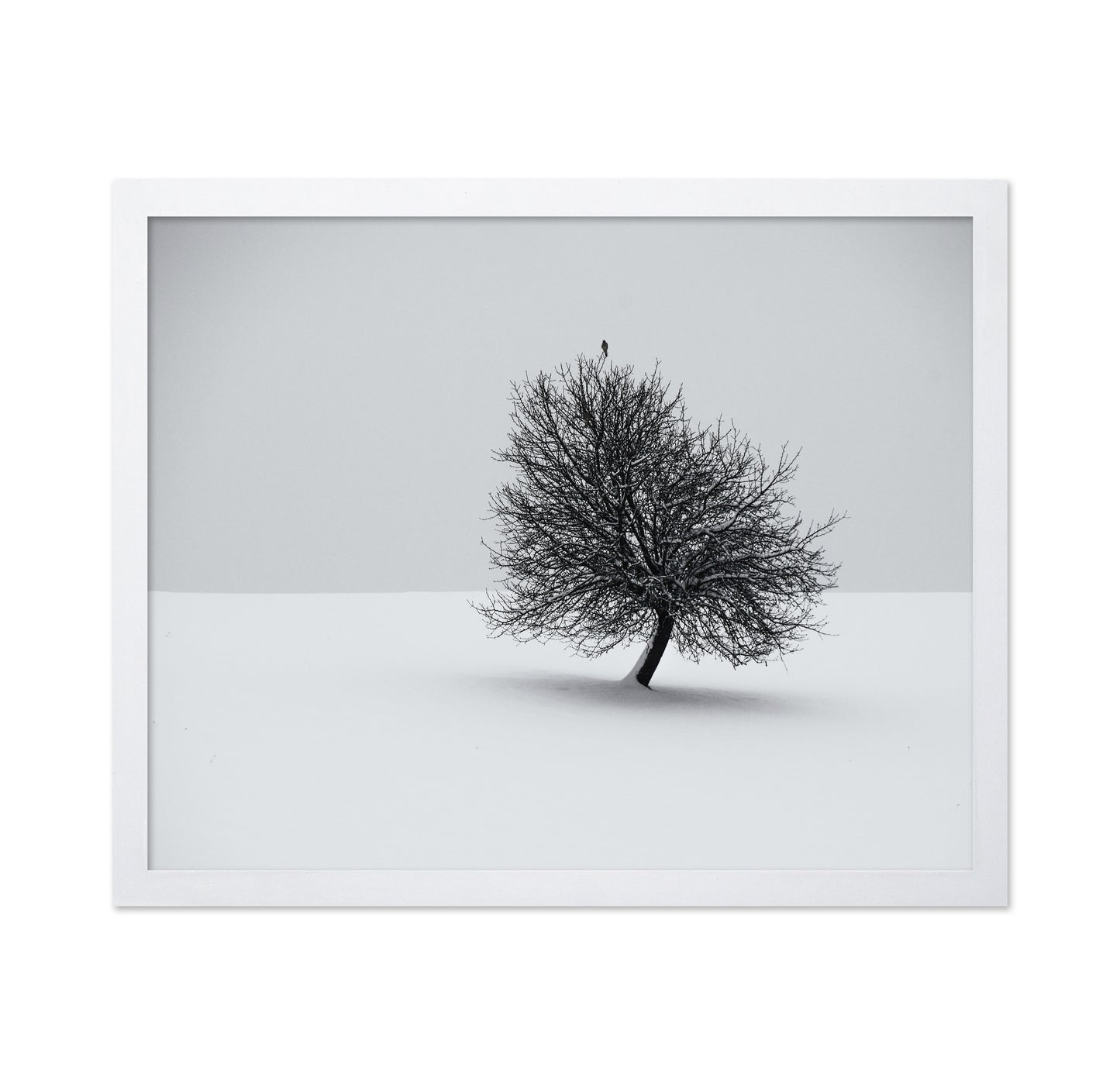 Minimal Winter Tree