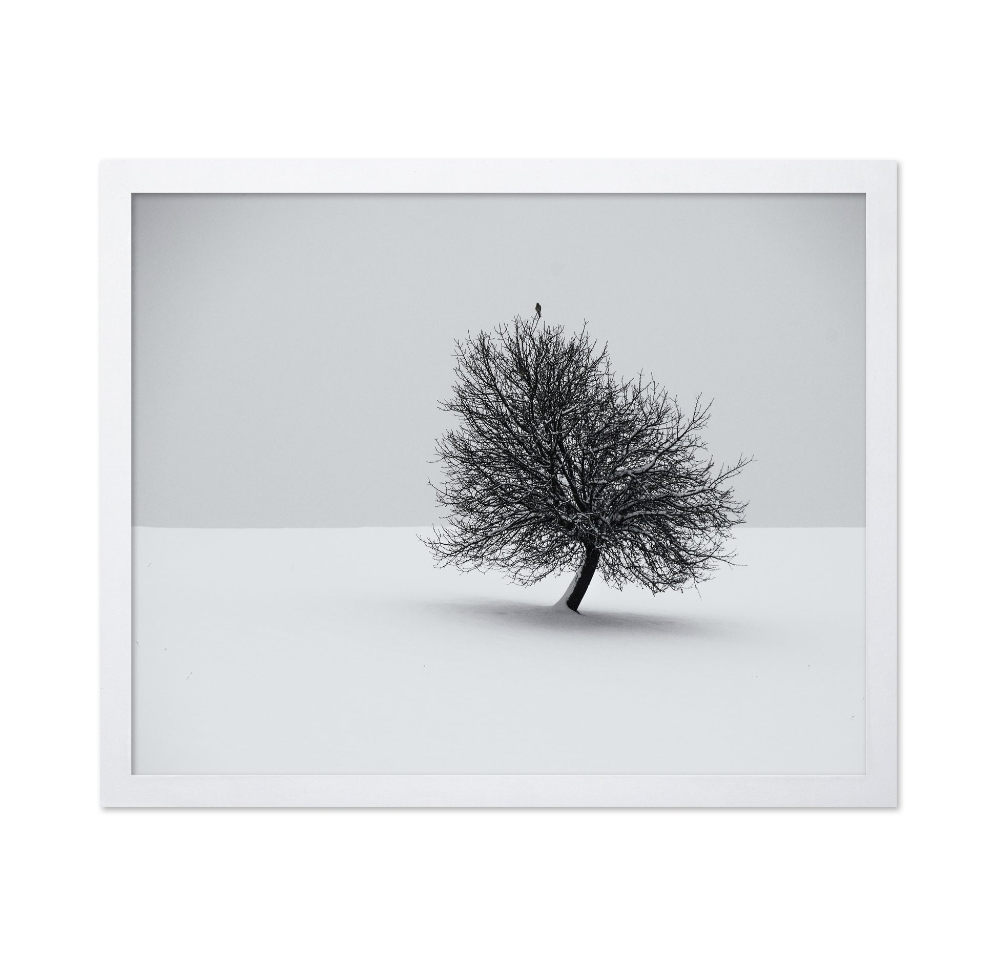 Minimal Winter Tree