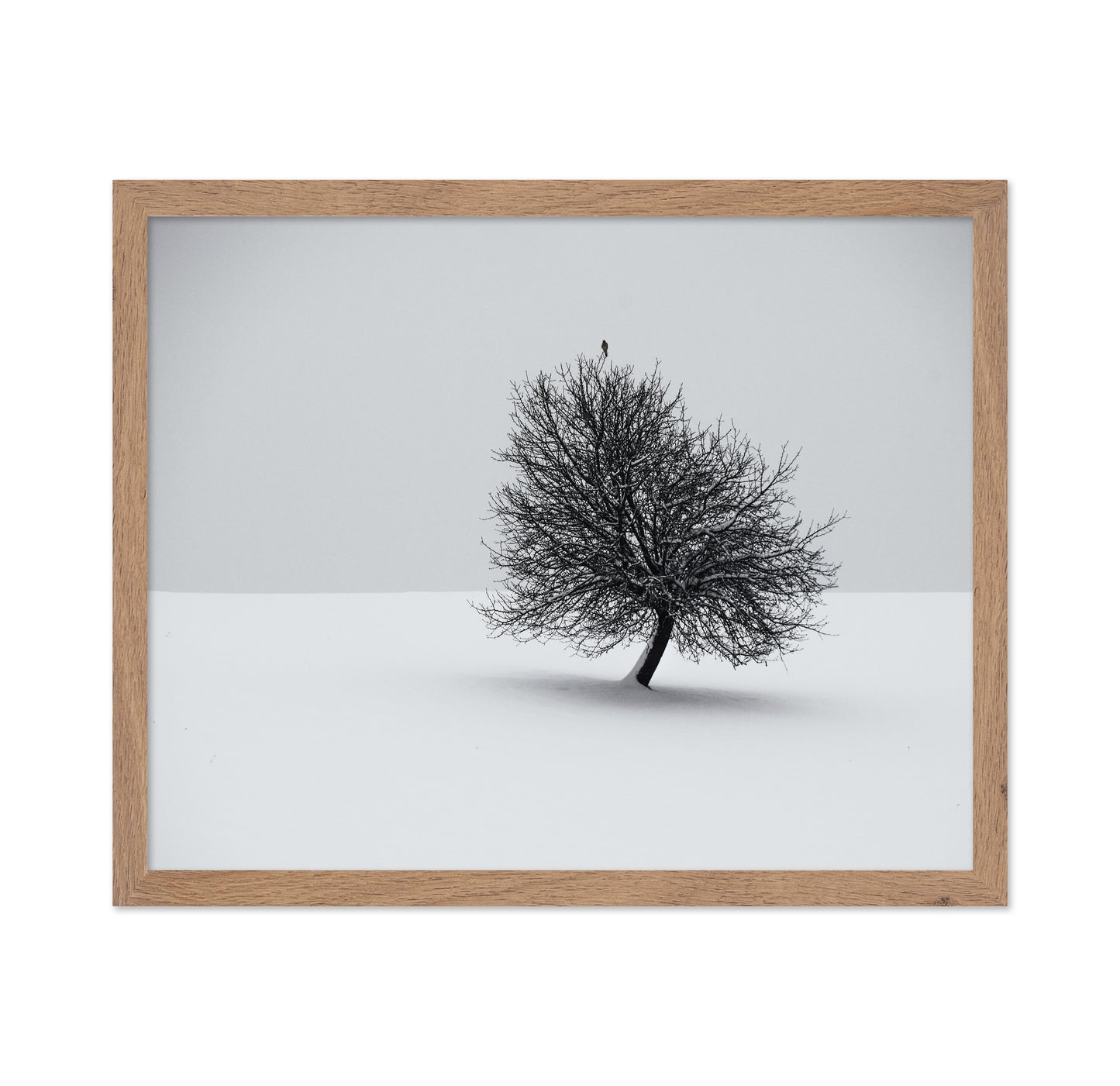 Minimal Winter Tree