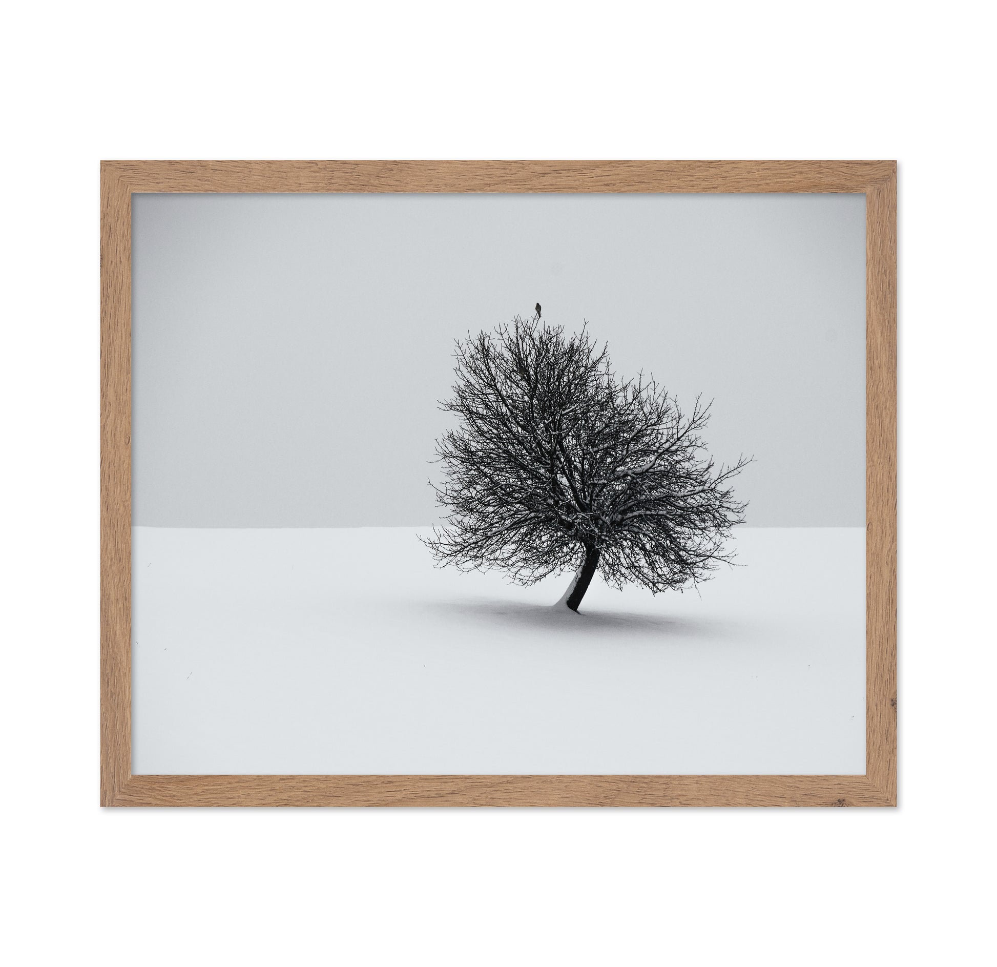 Minimal Winter Tree