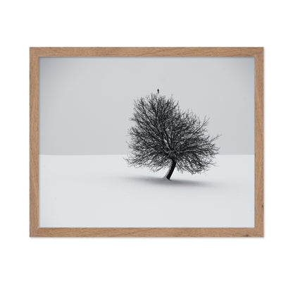 Minimal Winter Tree