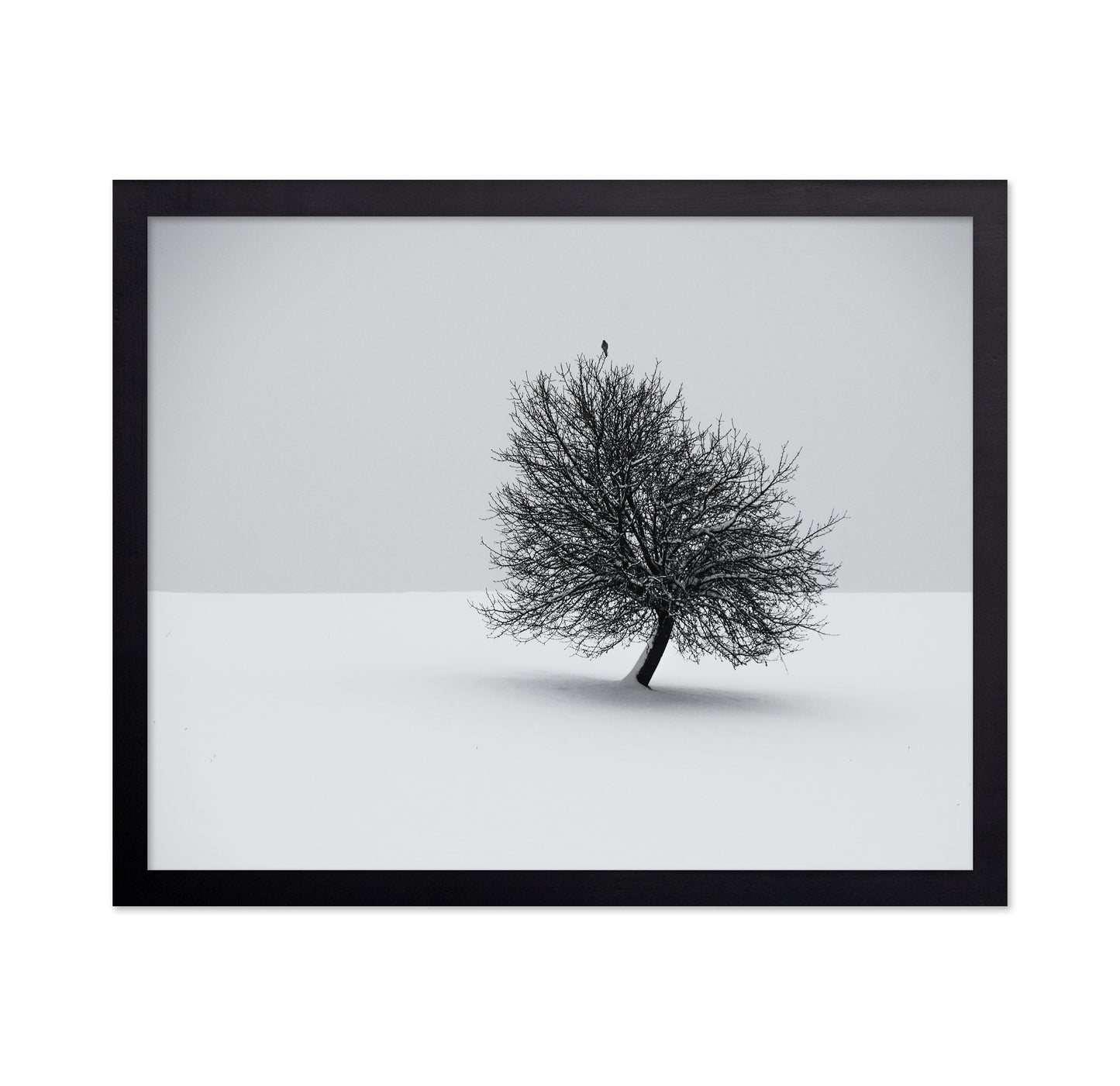 Minimal Winter Tree
