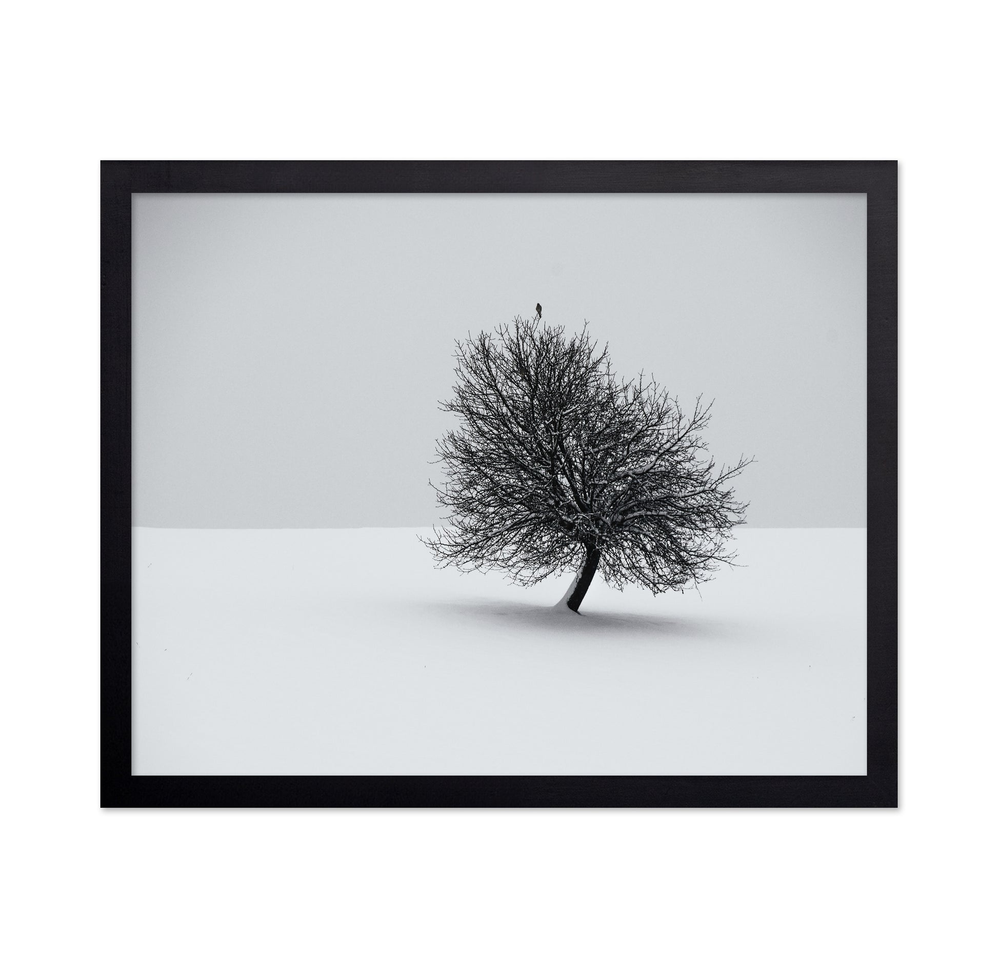 Minimal Winter Tree