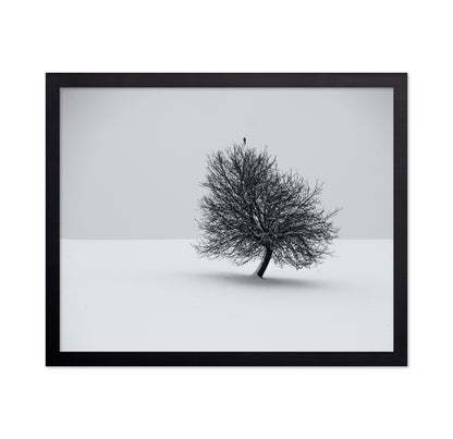 Minimal Winter Tree