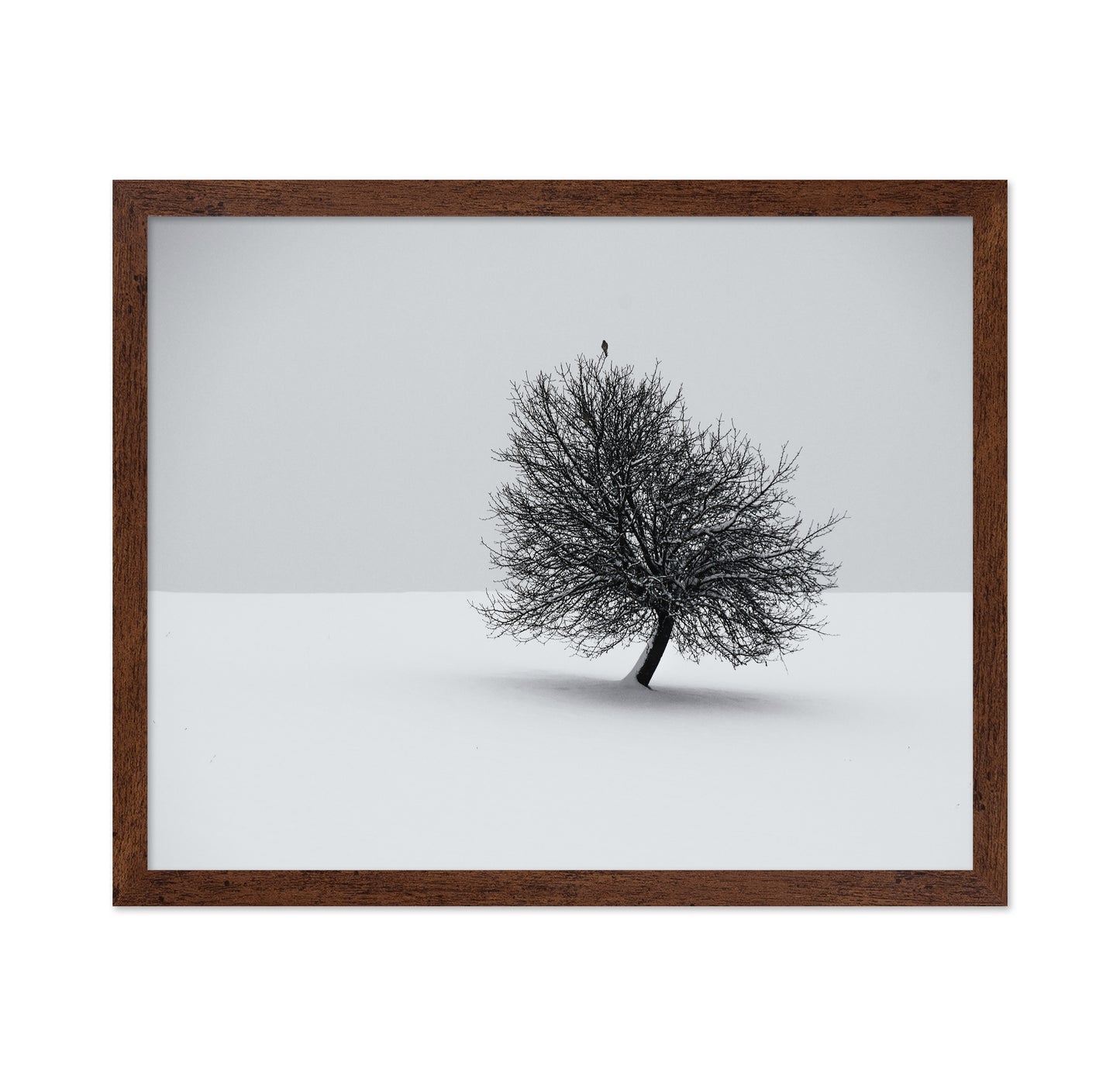 Minimal Winter Tree
