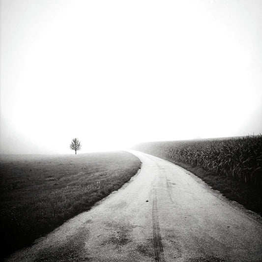 Minimal Foggy Road