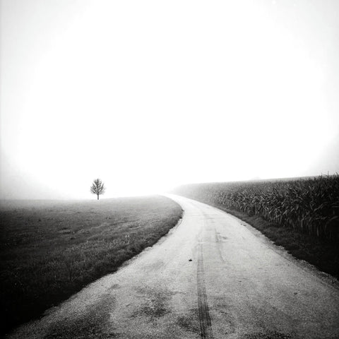 Minimal Foggy Road