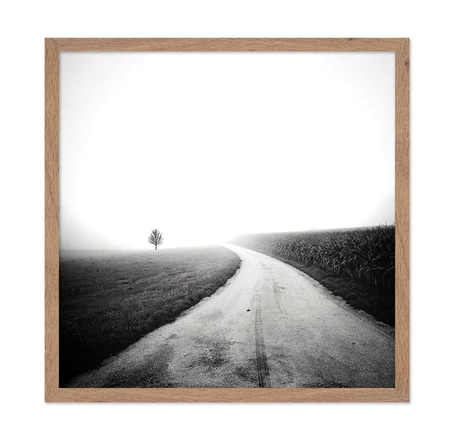 Minimal Foggy Road