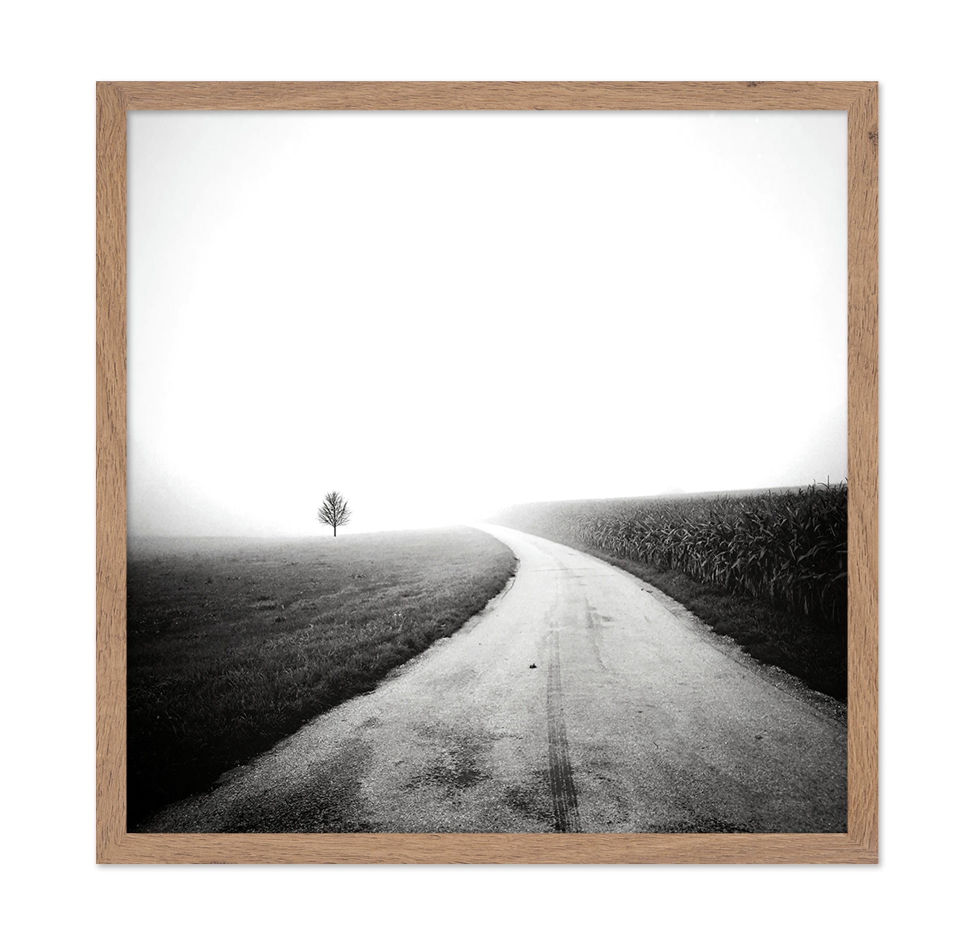 Minimal Foggy Road