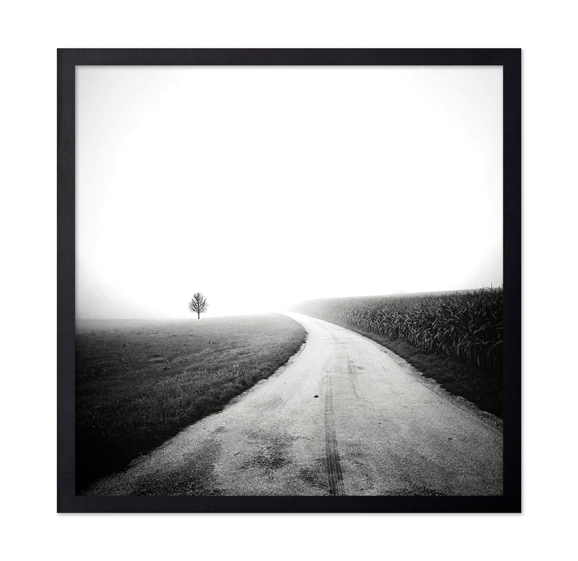 Minimal Foggy Road
