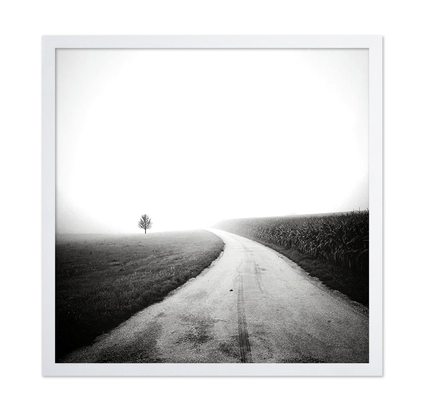 Minimal Foggy Road
