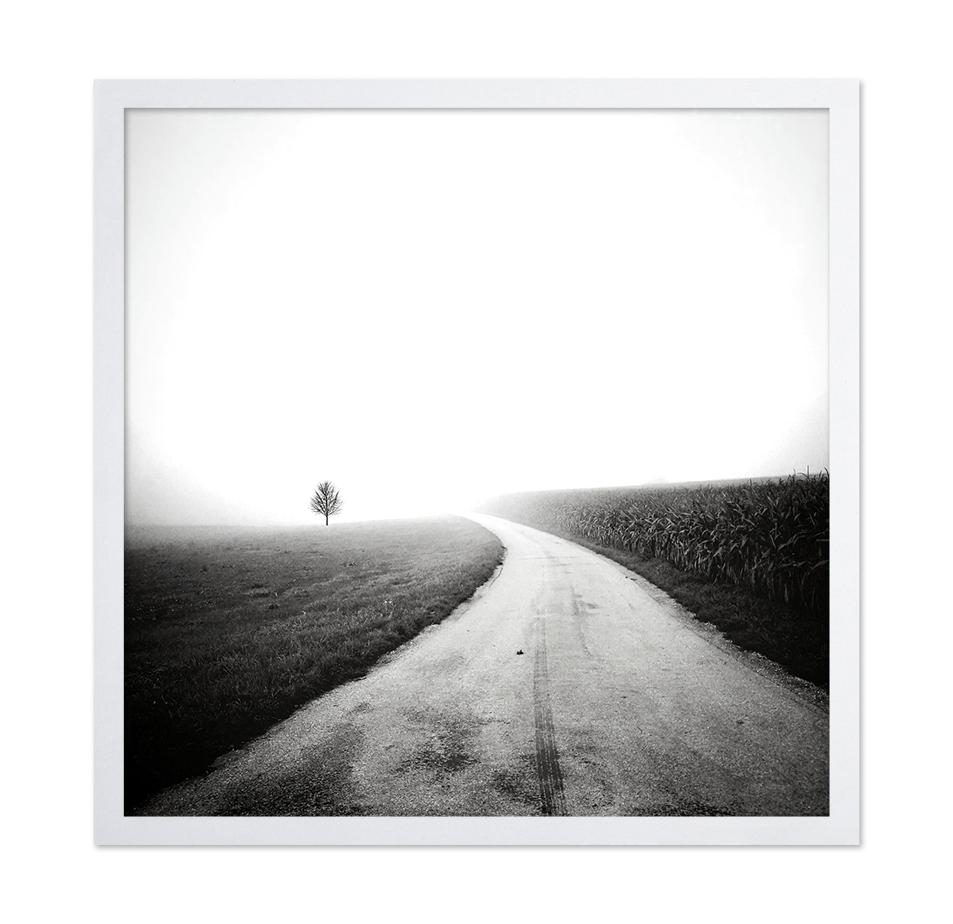 Minimal Foggy Road
