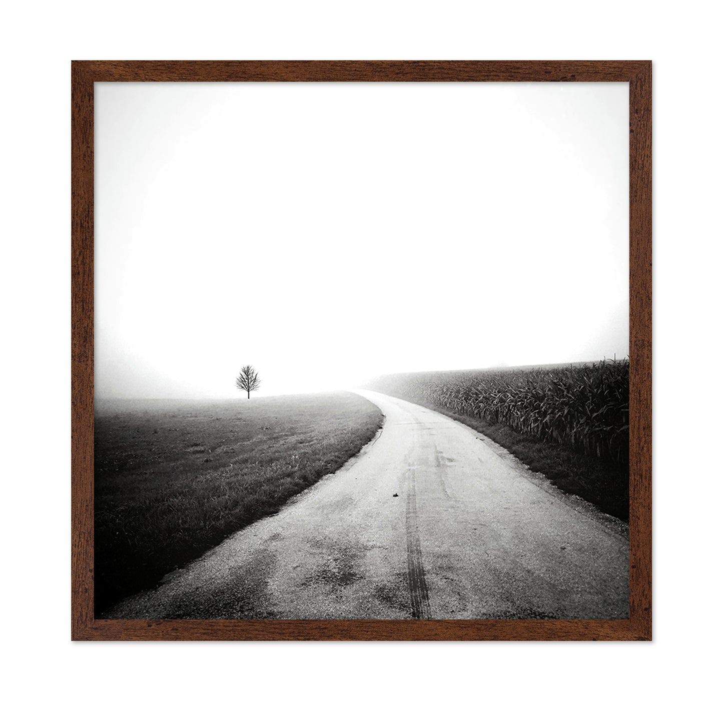 Minimal Foggy Road