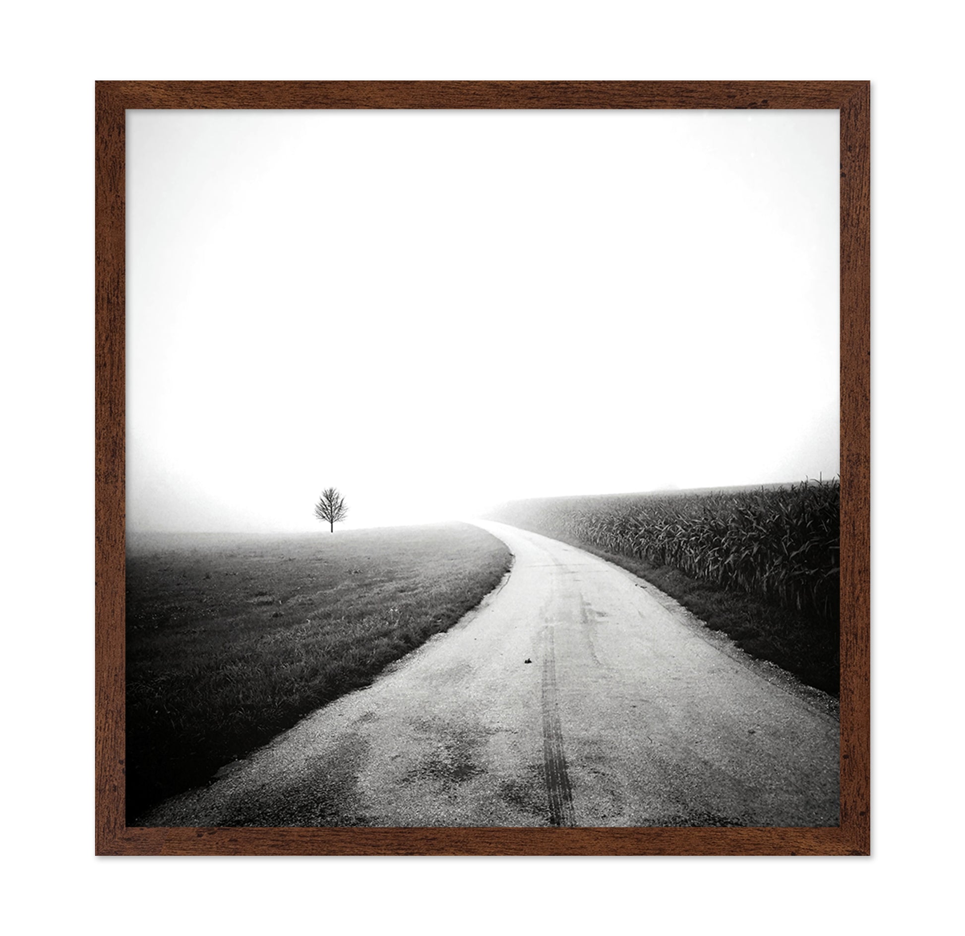 Minimal Foggy Road