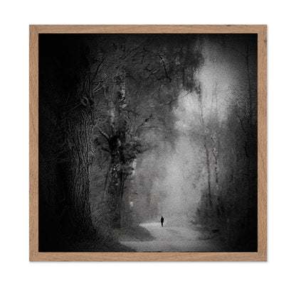 Lonely Forest Walk