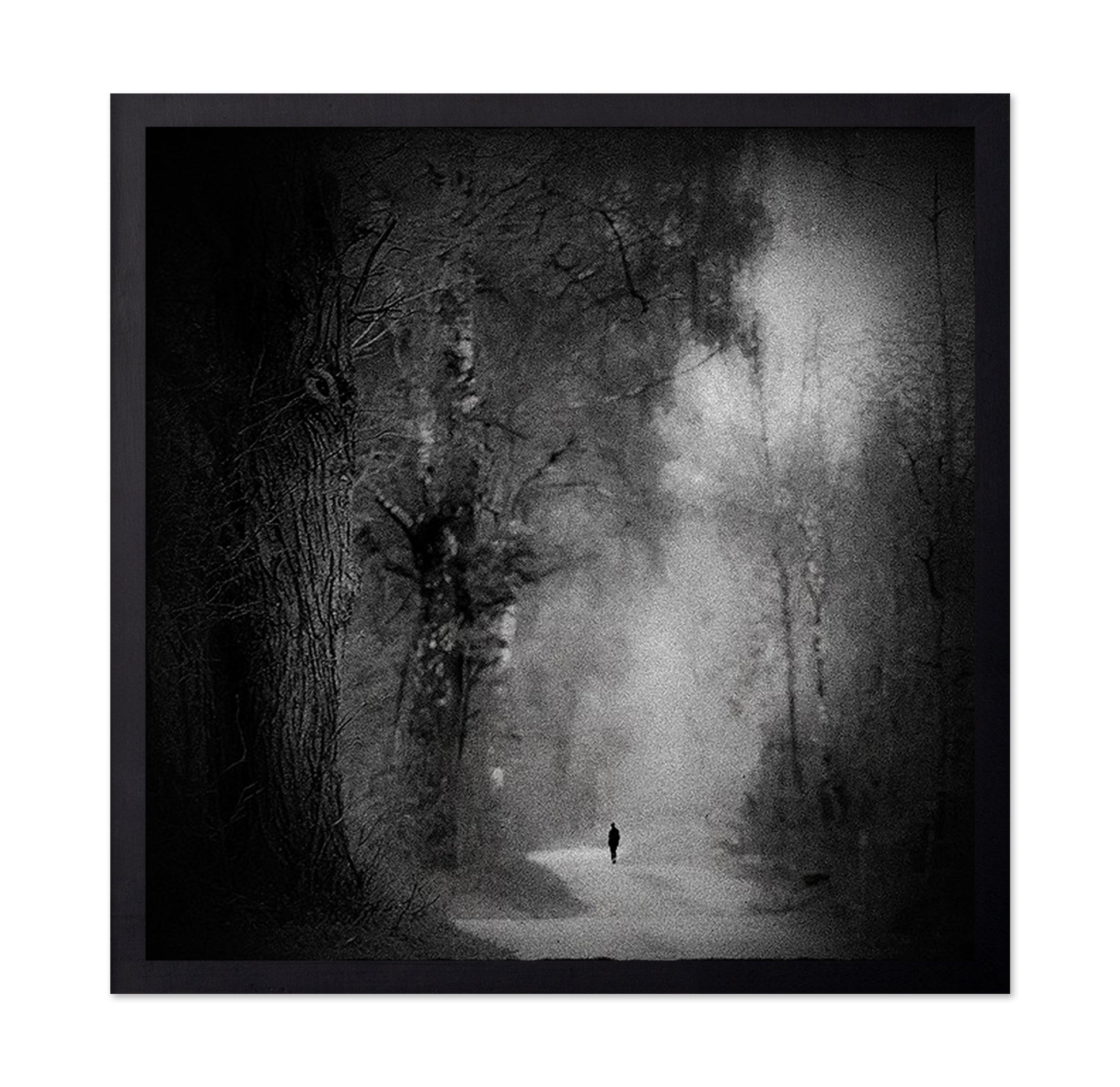 Lonely Forest Walk