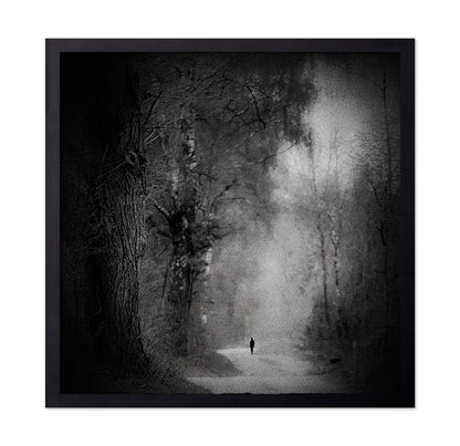 Lonely Forest Walk
