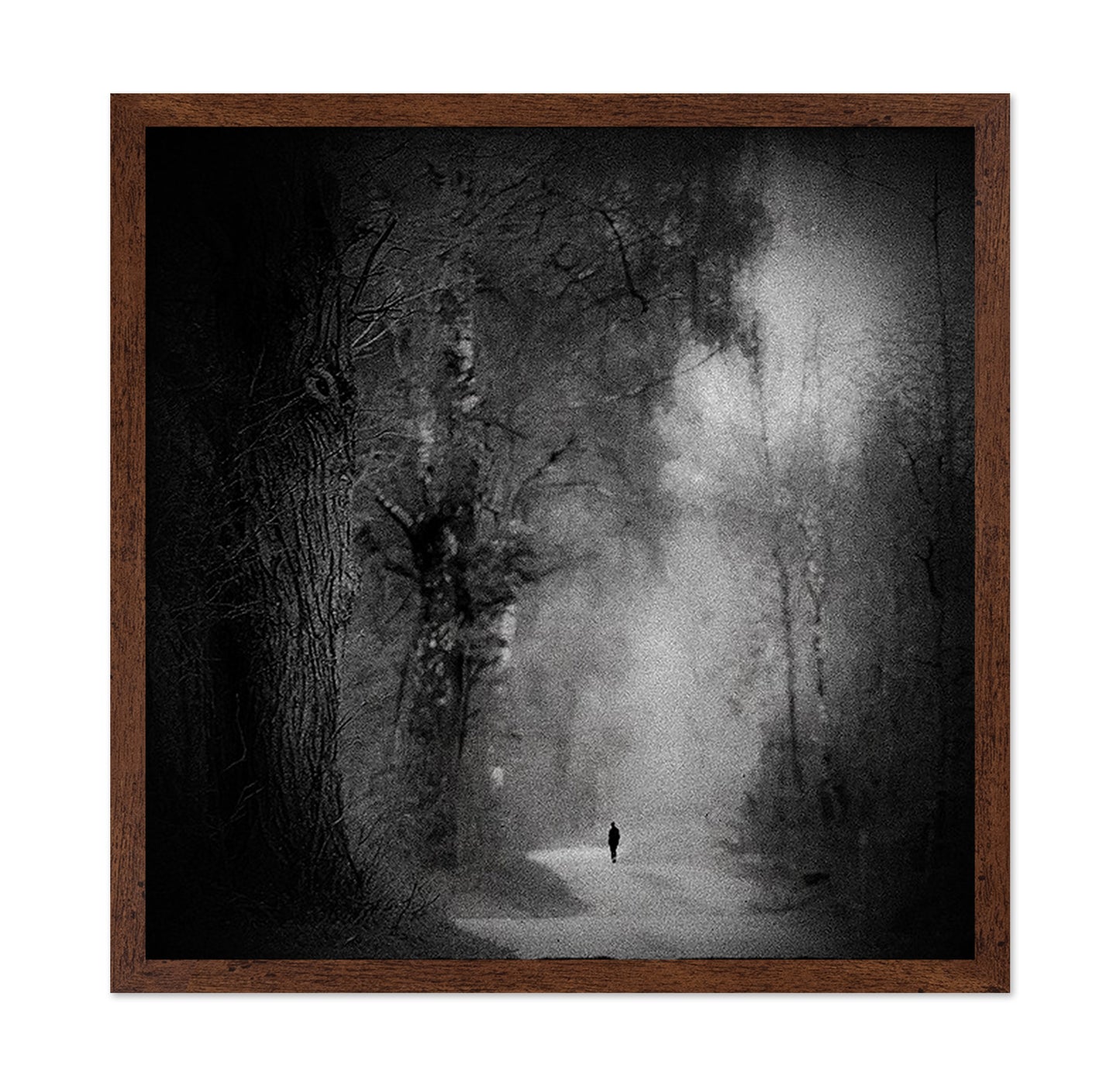 Lonely Forest Walk