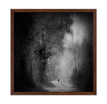 Lonely Forest Walk