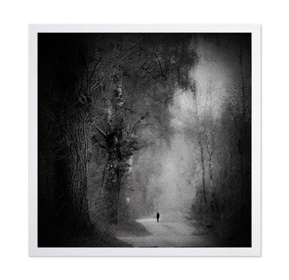 Lonely Forest Walk