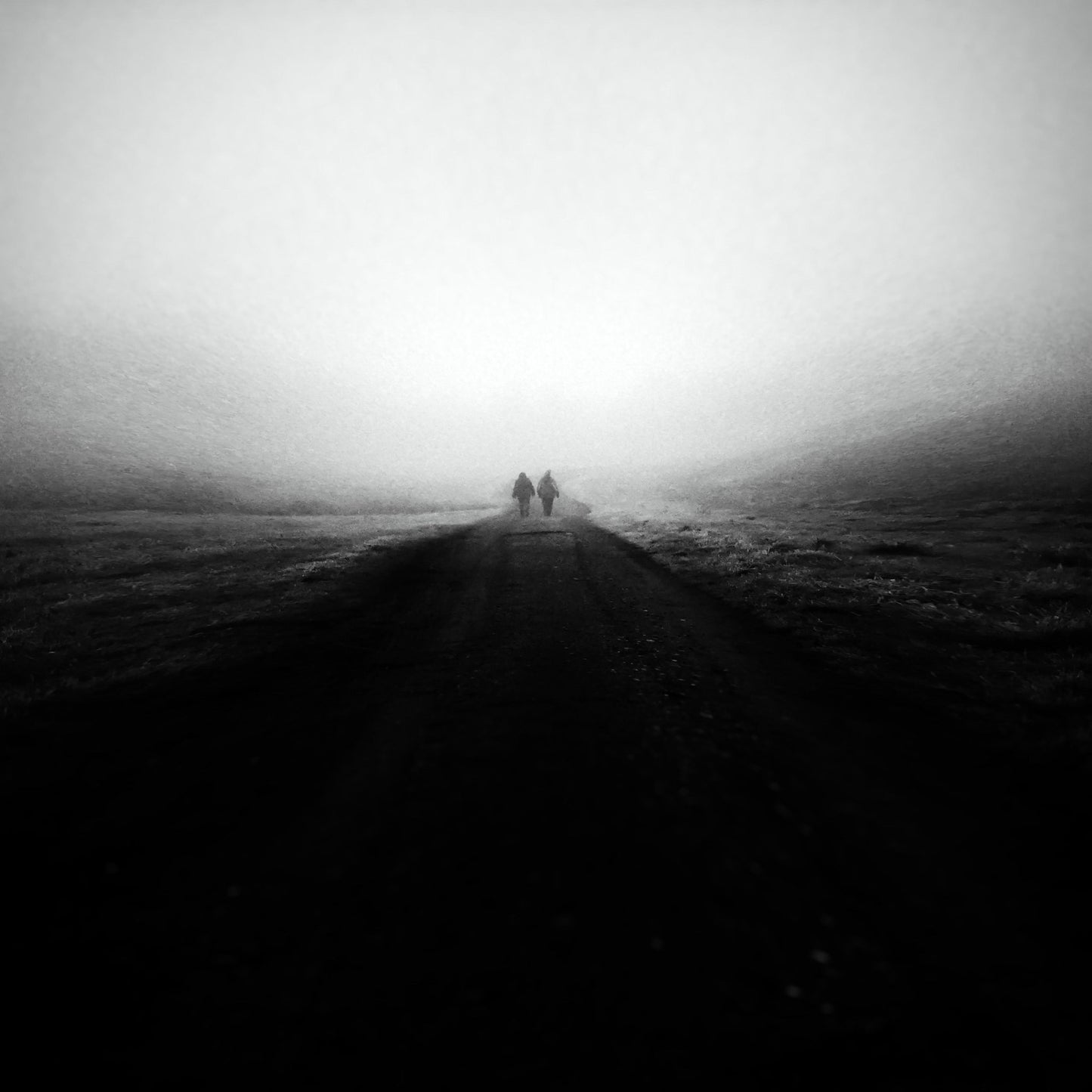 Foggy Road Walkers