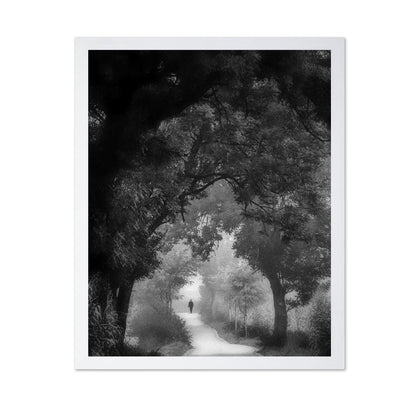 Misty Forest Walk