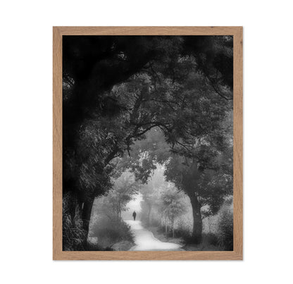 Misty Forest Walk