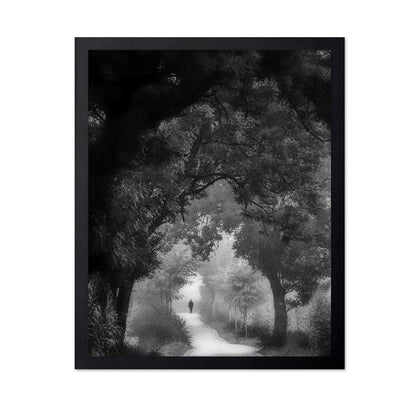 Misty Forest Walk