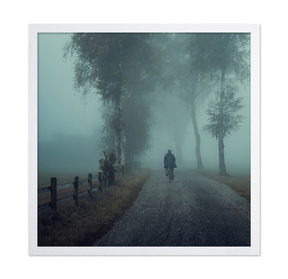Foggy Ride Through Trees