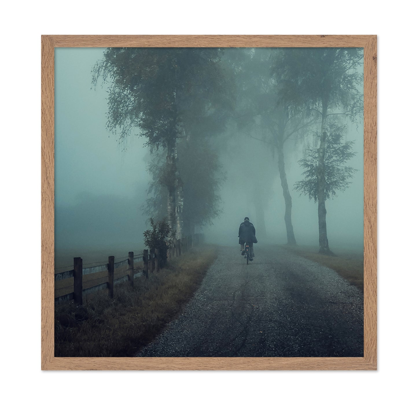 Foggy Ride Through Trees