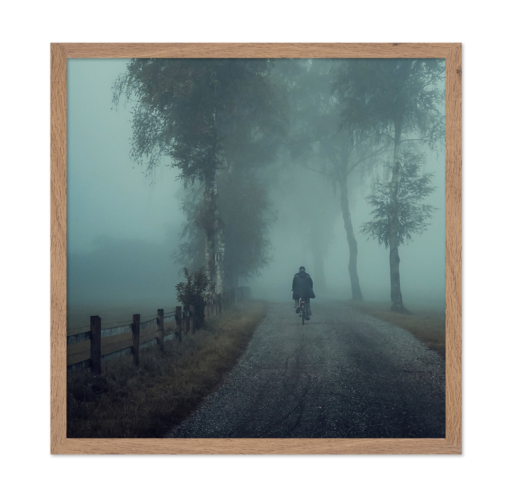 Foggy Ride Through Trees