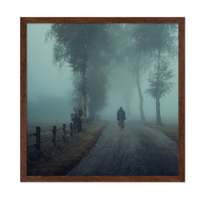 Foggy Ride Through Trees