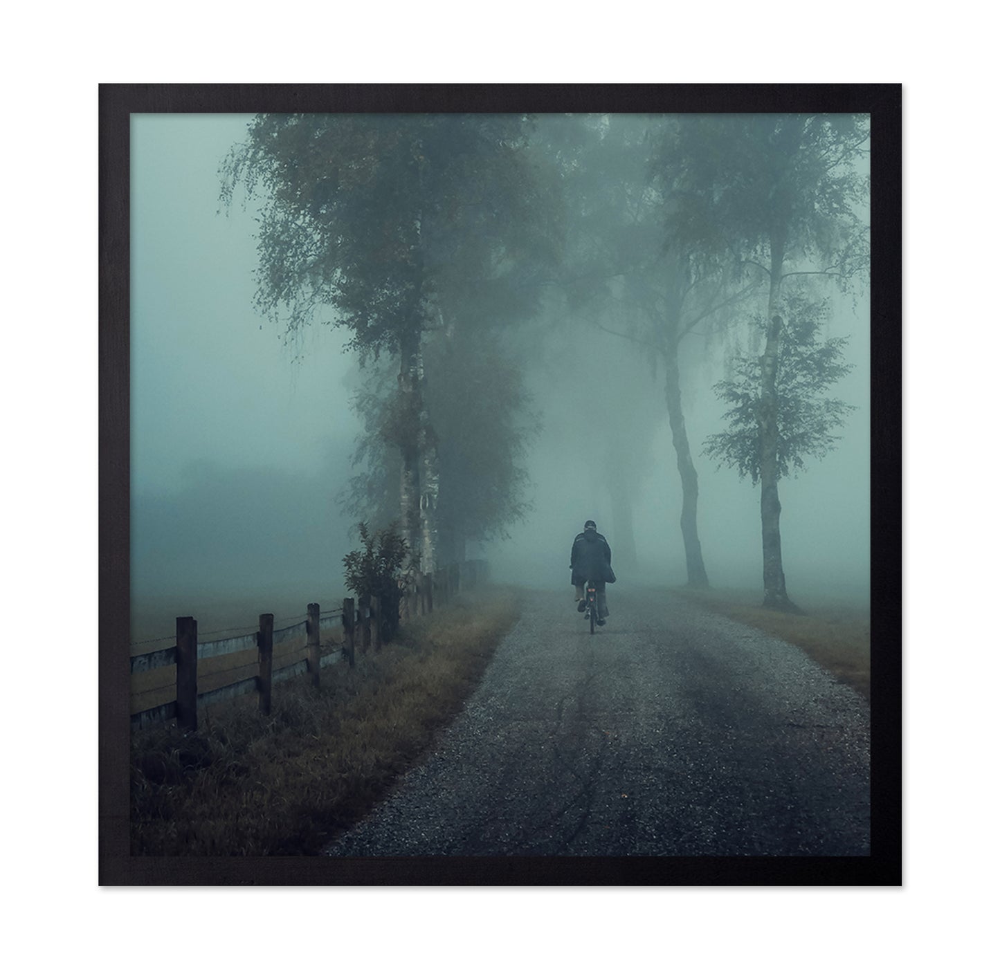 Foggy Ride Through Trees