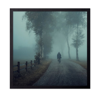 Foggy Ride Through Trees