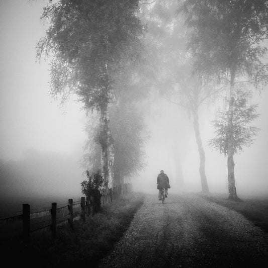 Lonely Ride in Mist
