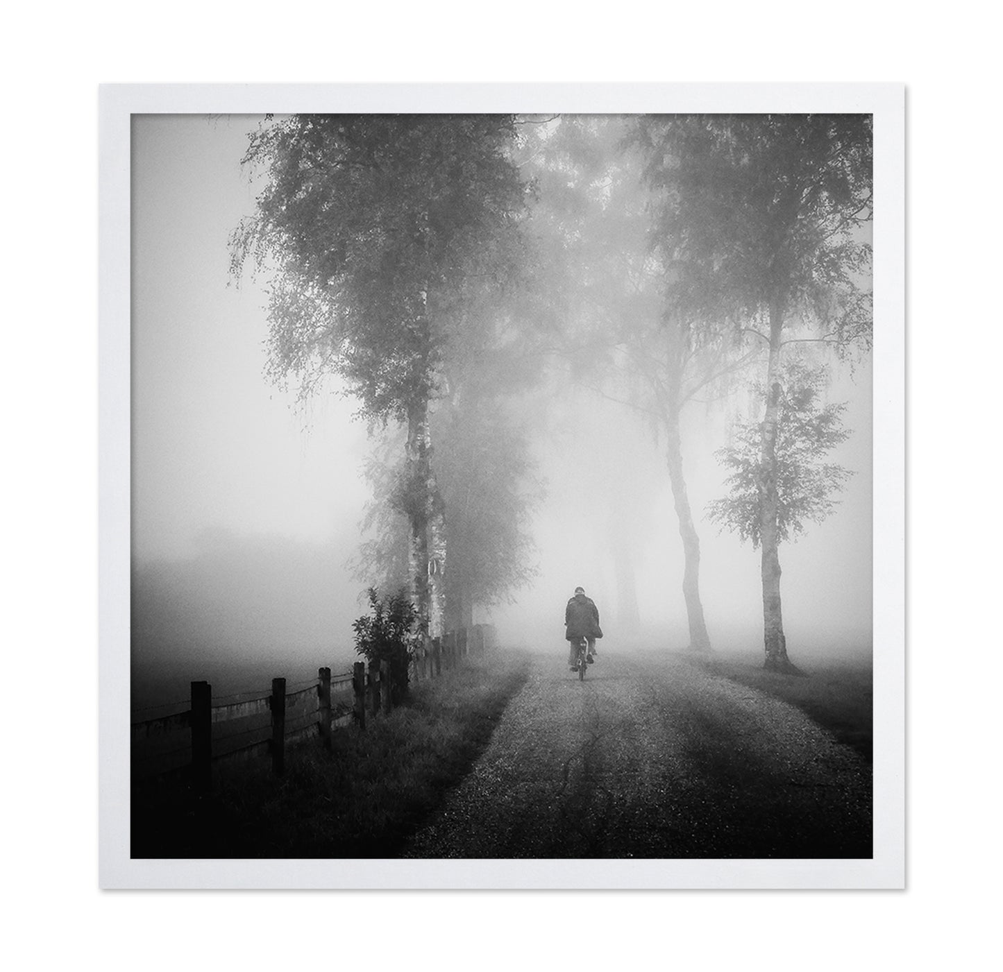 Lonely Ride in Mist