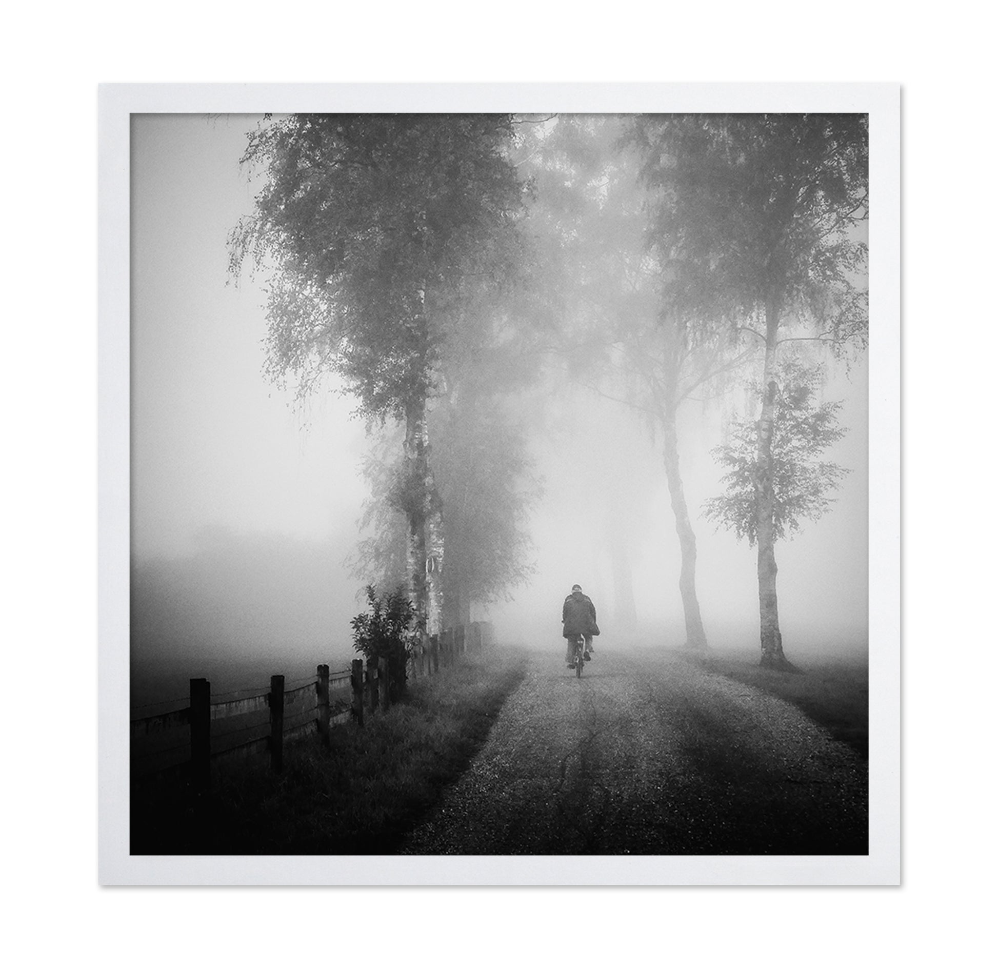 Lonely Ride in Mist