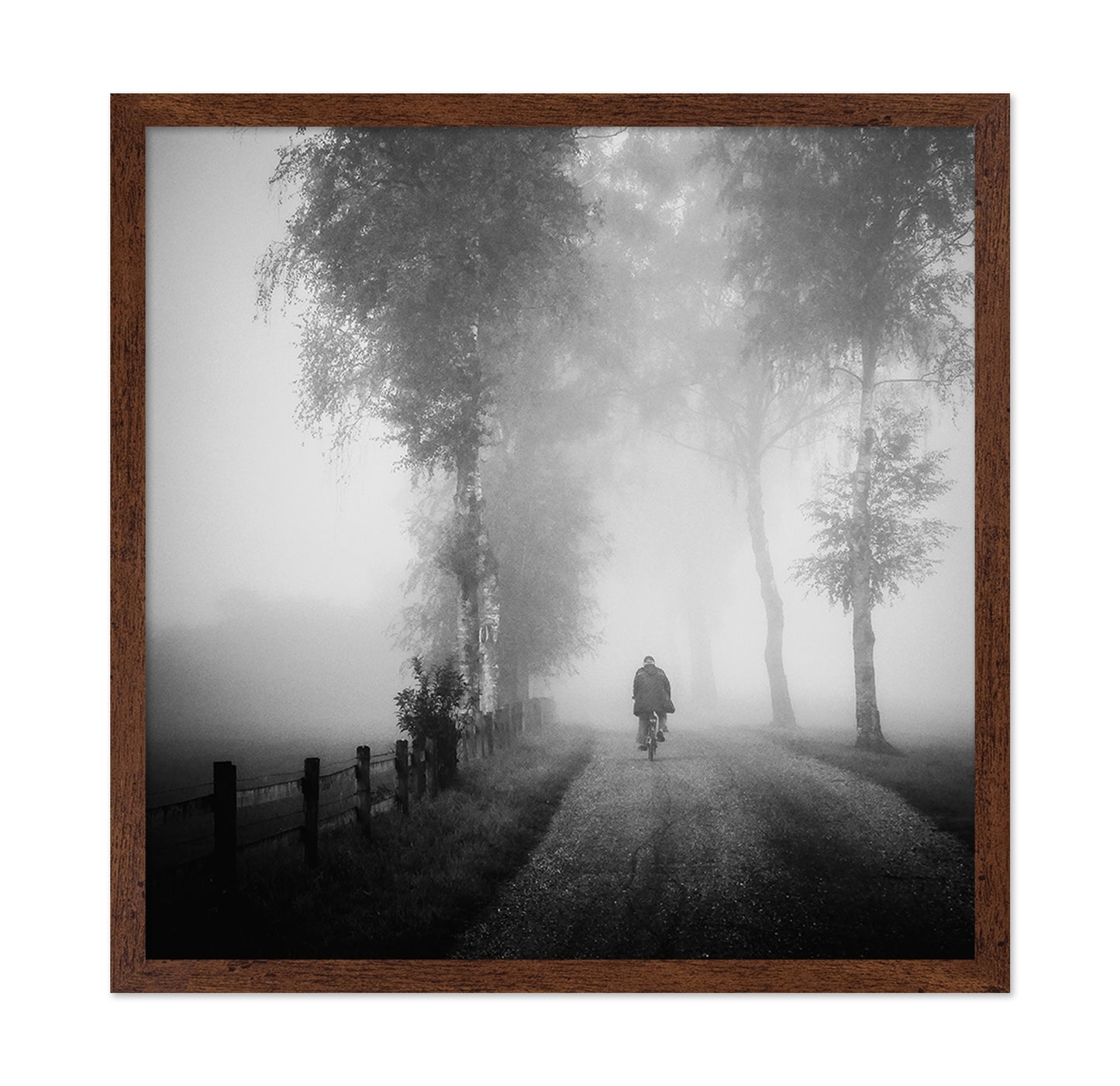 Lonely Ride in Mist