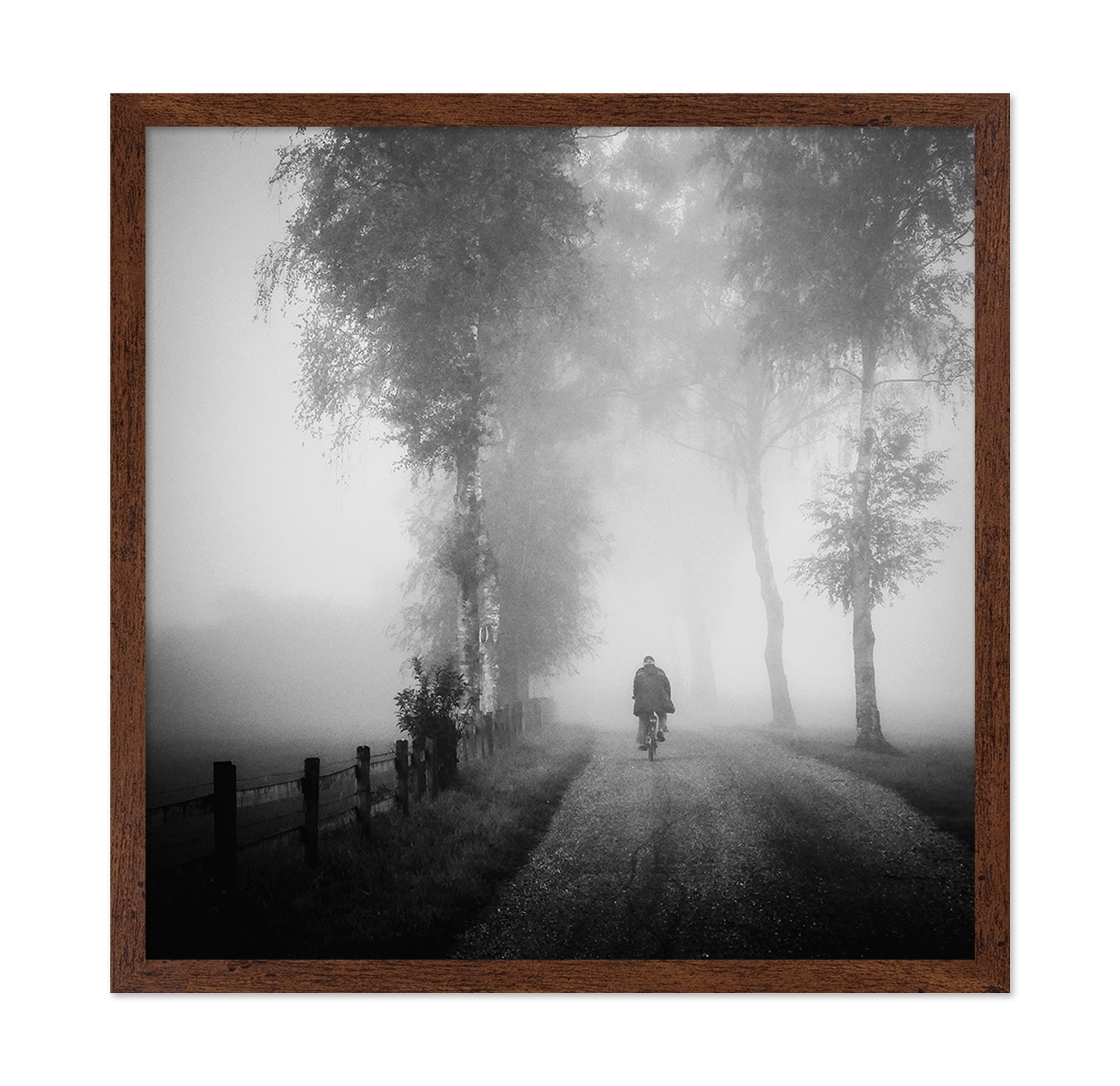 Lonely Ride in Mist