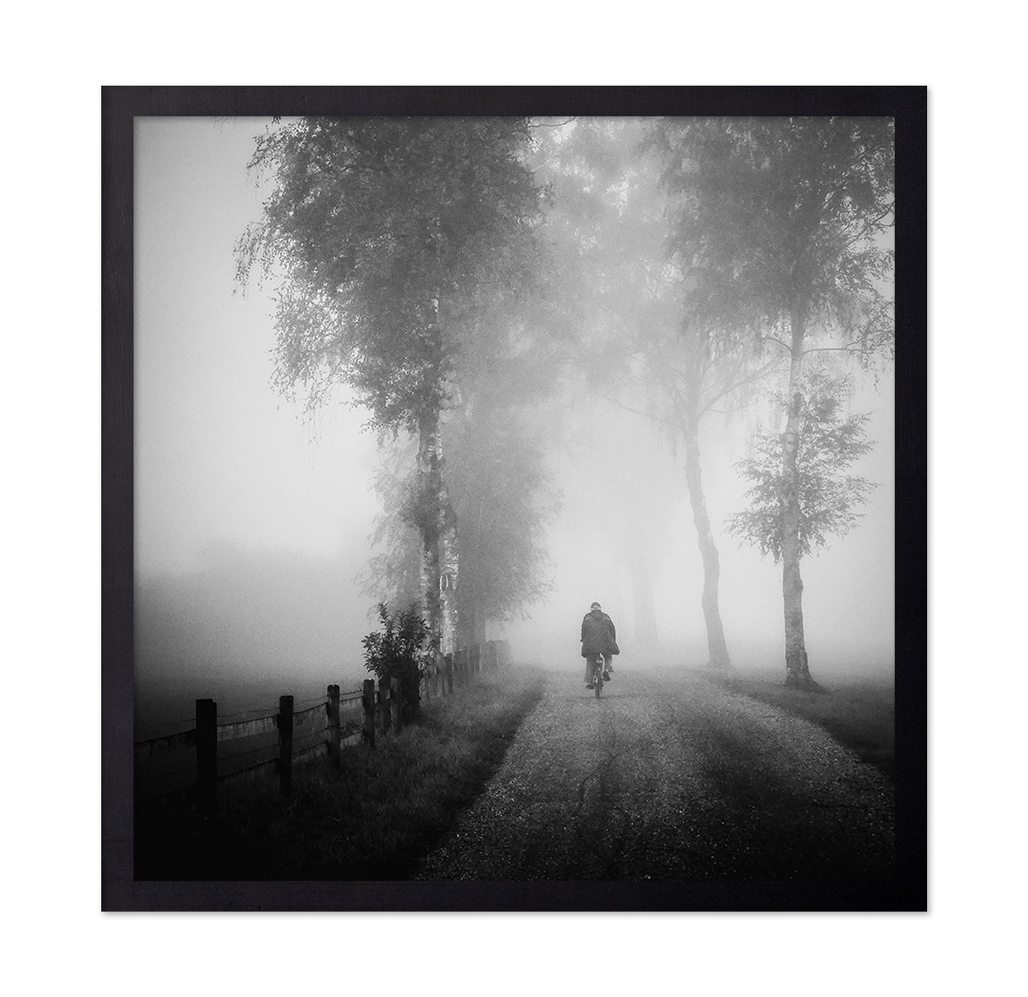 Lonely Ride in Mist