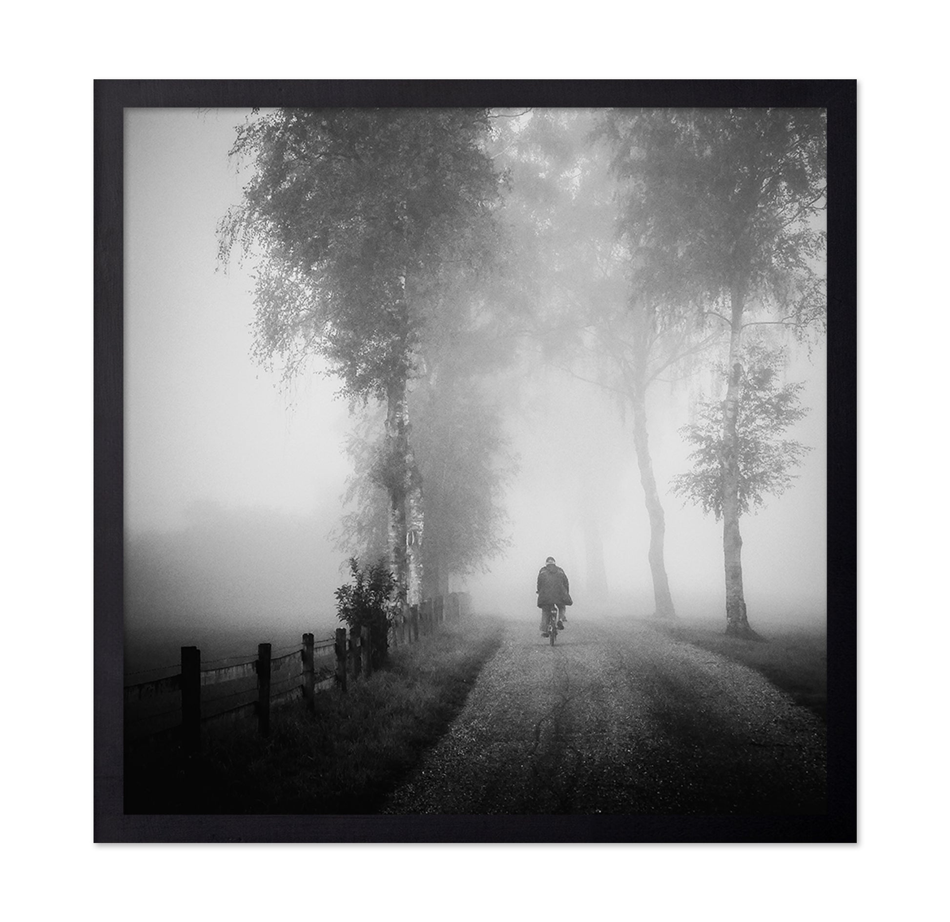 Lonely Ride in Mist