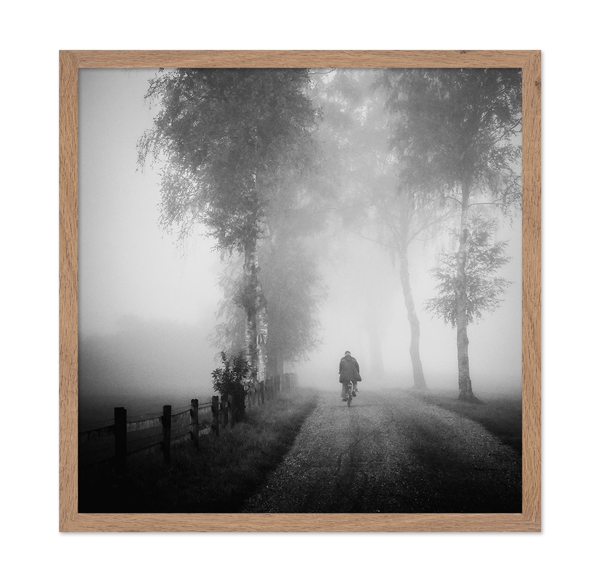 Lonely Ride in Mist