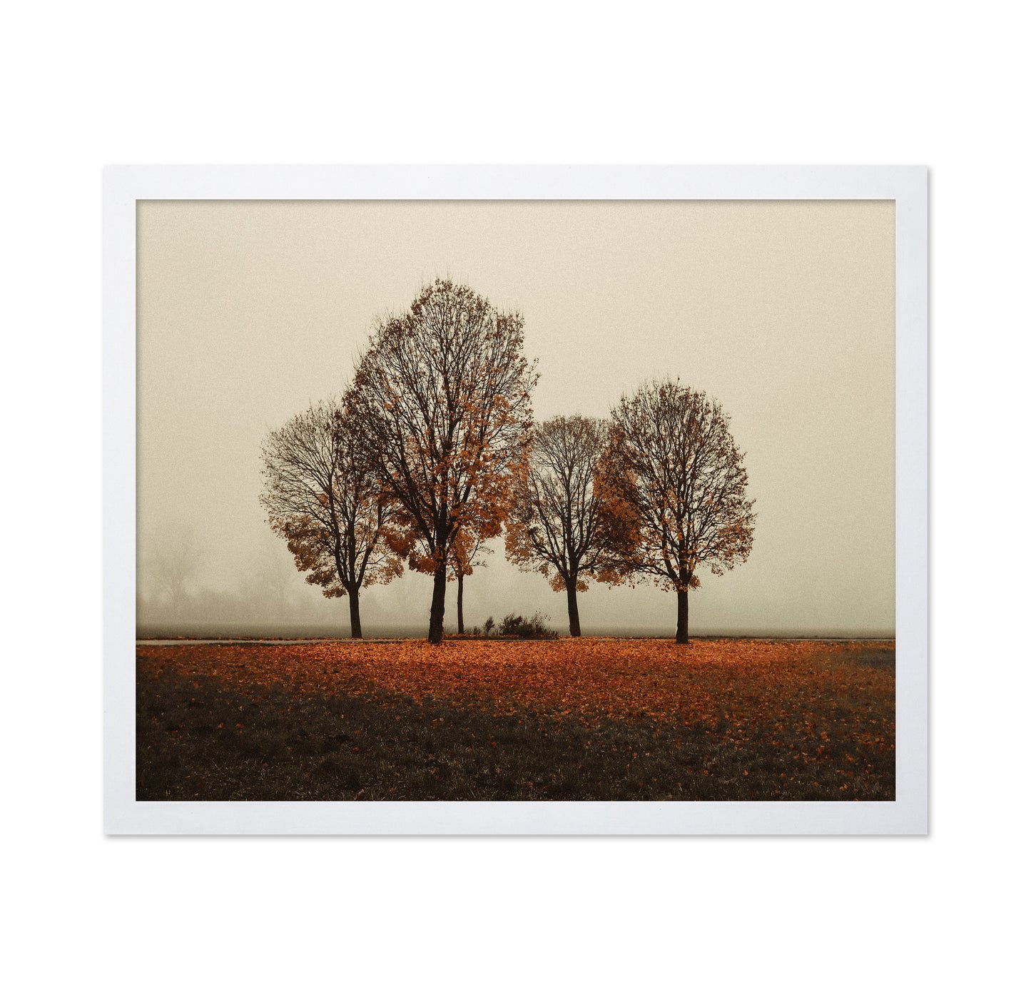 Autumn Trees in Silence