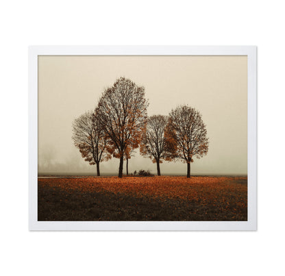 Autumn Trees in Silence