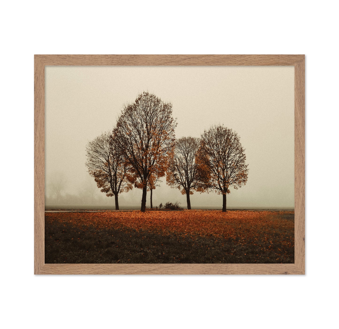 Autumn Trees in Silence