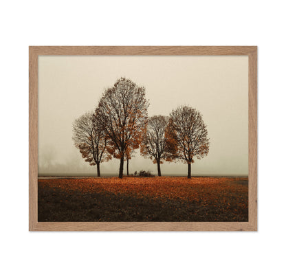 Autumn Trees in Silence