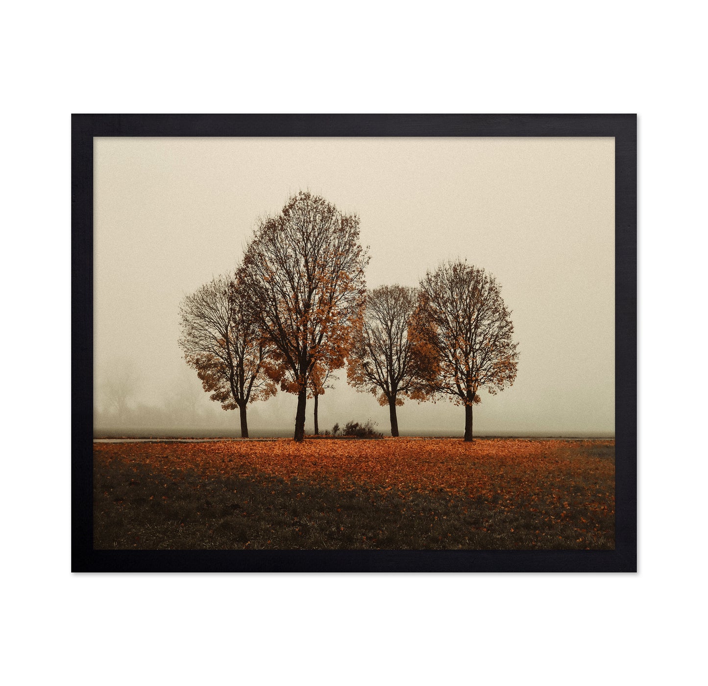 Autumn Trees in Silence